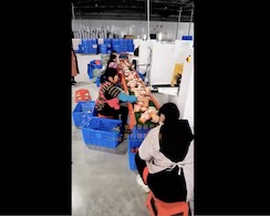 包裝機運營視頻